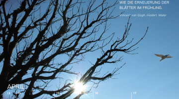 EDEN_Kal2016_Bestellung_CEWE5